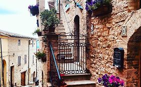 Domus Flora Guest House